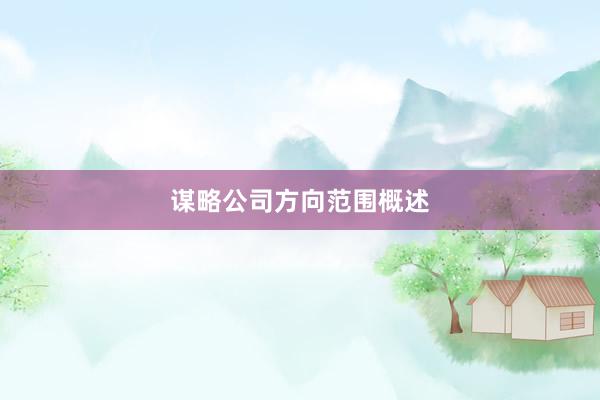 谋略公司方向范围概述