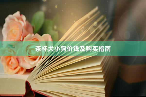 茶杯犬小狗价钱及购买指南